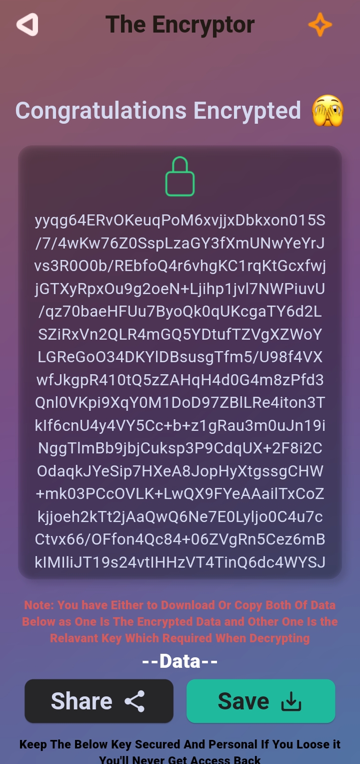 The Encryptor — screenshot 1