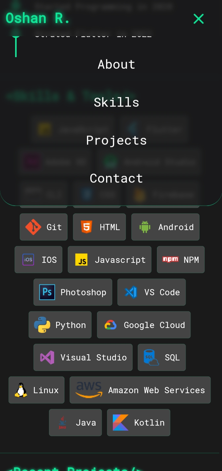 Portfolio Website V1 — screenshot 2